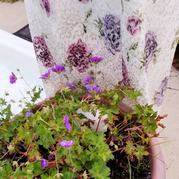 GOWN of all Gowns ~ Glamour, Grace ~ Timeless - Picture 7 of 8